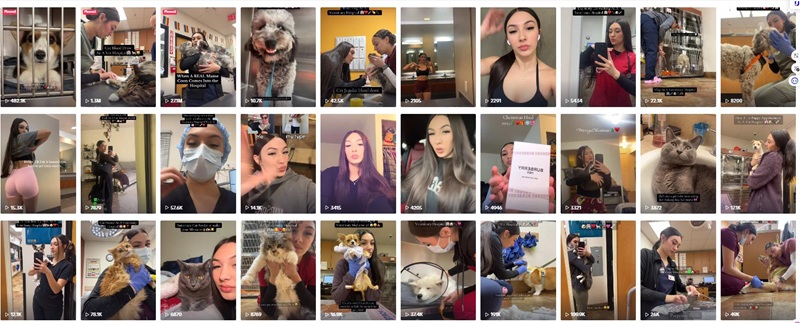 TikTok網(wǎng)紅推廣:美國寵物護(hù)理達(dá)人博主推薦頻道內(nèi)容