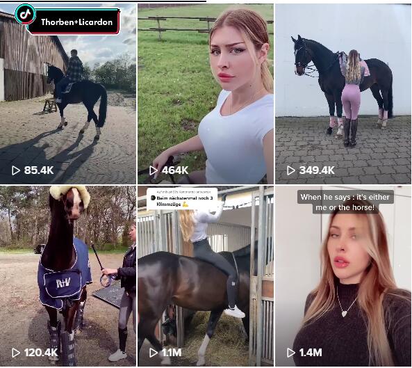 20210407 頻道內(nèi)容-mualesandro