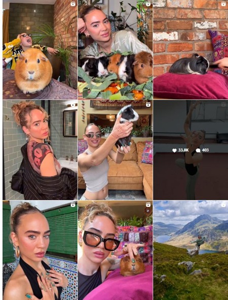 Instagram網(wǎng)紅推薦：英國(guó)寵物服飾配件類(lèi)海外博主頻道內(nèi)容