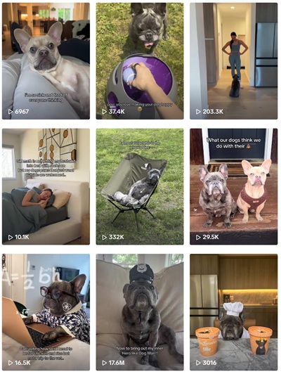 TikTok網(wǎng)紅推薦:美國寵物食品/用品推廣博主頻道內(nèi)容