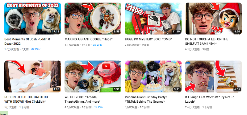 Youtube美國(guó)寵物娛樂海外網(wǎng)紅