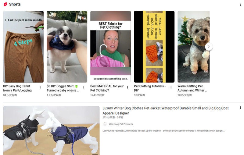 2025年海外寵物經(jīng)濟持續(xù)火爆，寵物用品出海大有可為