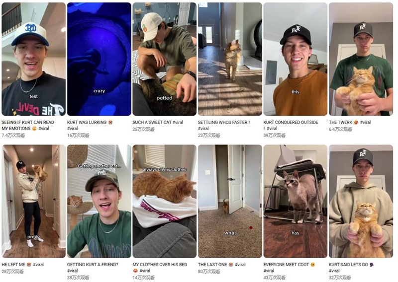 美國地區(qū)寵物用品出海網(wǎng)紅博主帶貨