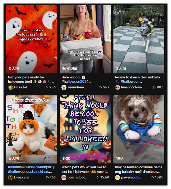 萬圣節(jié)倒計(jì)時(shí)開始！節(jié)日海外網(wǎng)紅營銷怎么做？