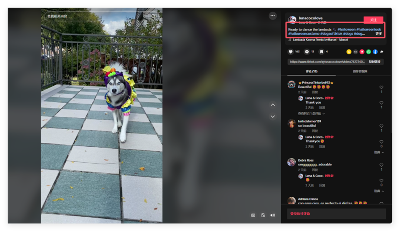 萬圣節(jié)倒計(jì)時(shí)開始！節(jié)日海外網(wǎng)紅營銷怎么做？