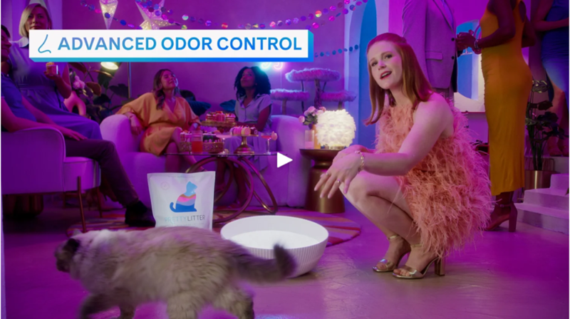 海外營銷案例解析：穩(wěn)住“毛孩子”，抓住錢袋子！