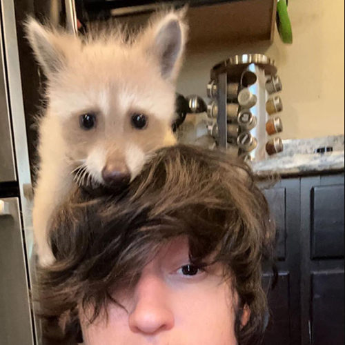 TikTok網(wǎng)紅推薦:美國寵物智能設(shè)備和寵物用品宣傳博主