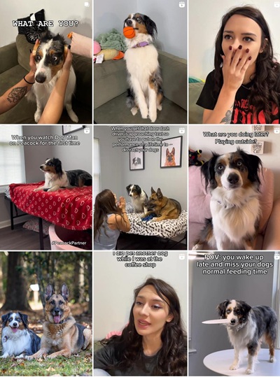 Instagram網(wǎng)紅推薦:美國(guó)寵物搞笑短劇海外博主頻道內(nèi)容