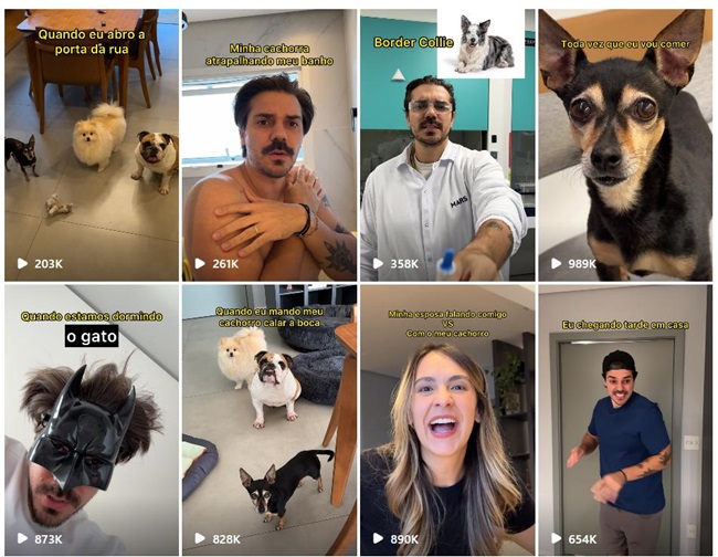 Instagram網(wǎng)紅:巴西寵物博主頻道內(nèi)容