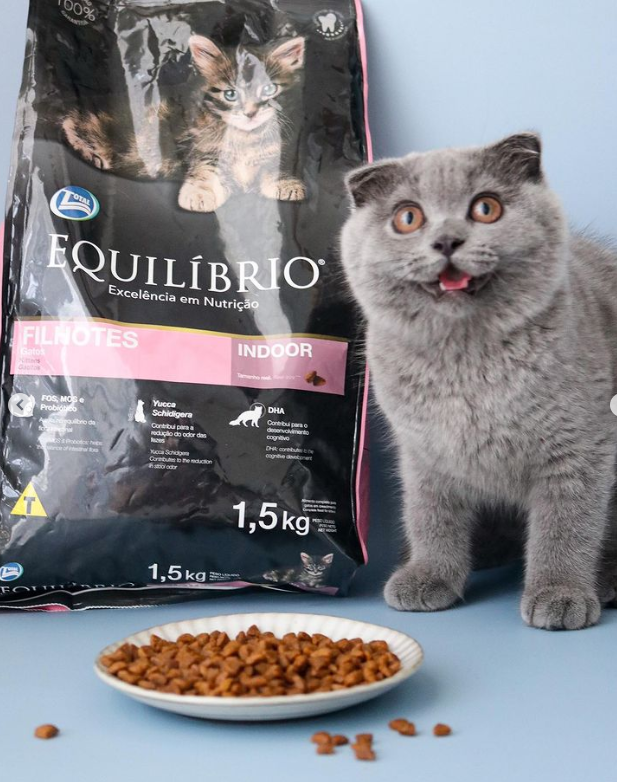 馬來西亞美食博主（案例）2