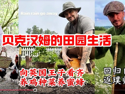 國產(chǎn)品牌"7日銷量破萬"，全球家居園藝市場還暗藏什么機遇？