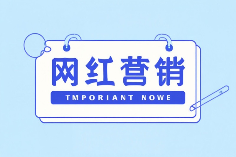 海外網(wǎng)紅營銷