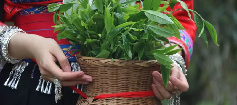 深度內(nèi)容營銷如何將“中國傳統(tǒng)文化”賣成爆款？