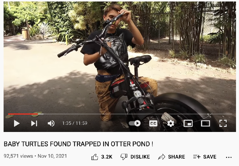 海外網紅營銷案例